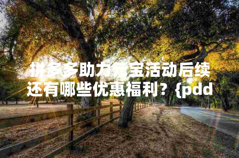 拼多多助力元宝活动后续还有哪些优惠福利？{pdd助力}