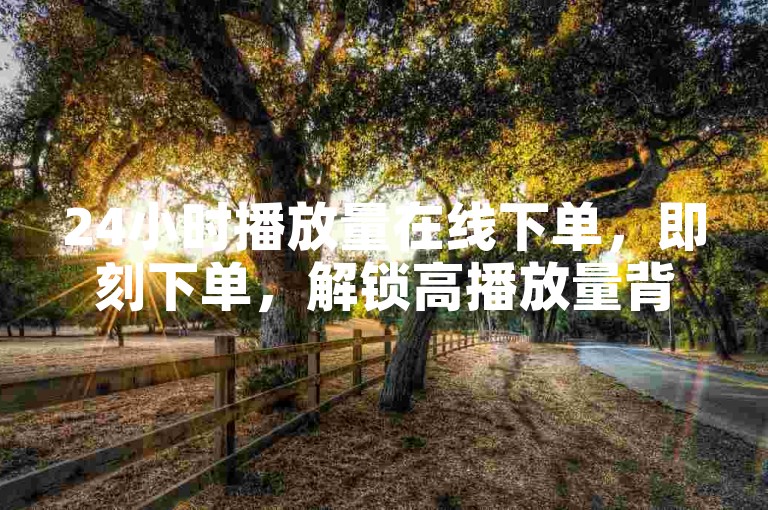 24小时播放量在线下单，即刻下单，解锁高播放量背后的奥秘。