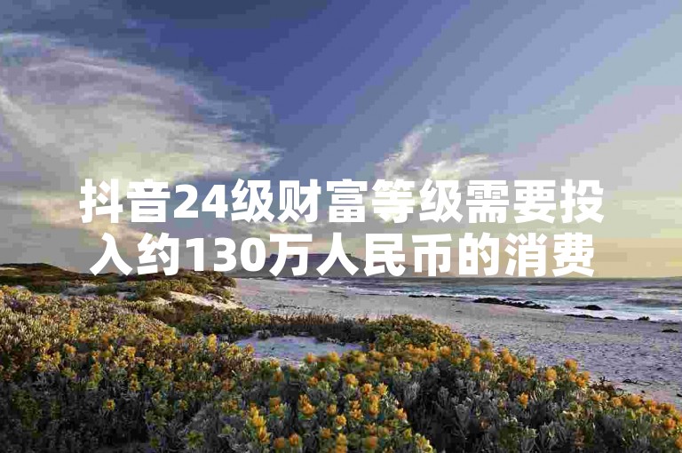 抖音24级财富等级需要投入约130万人民币的消费。