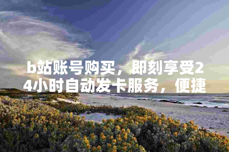 b站账号购买，即刻享受24小时自动发卡服务，便捷下单平台等你来体验。