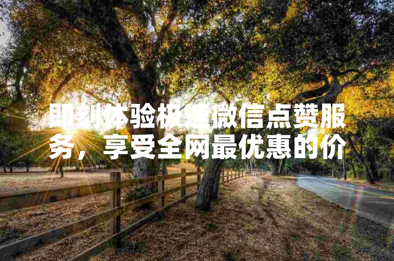 即刻体验极速微信点赞服务，享受全网最优惠的价格。