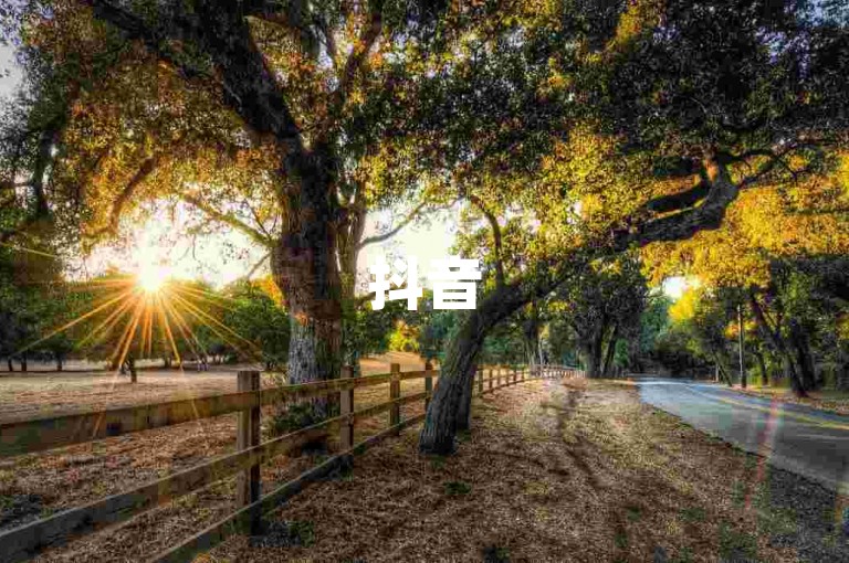 抖音50级账号出售价格，粉丝抖音一元1000粉 - 快手1w粉丝的号 - 快手一元一万点赞。
