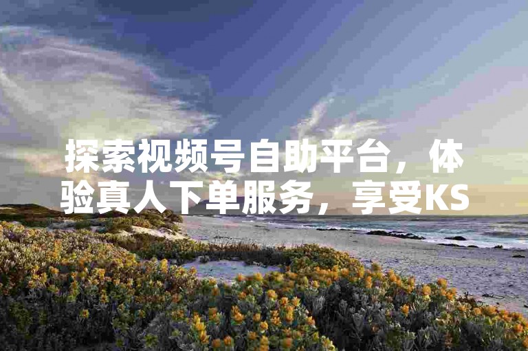 探索视频号自助平台，体验真人下单服务，享受KS业务低价自助下单网站的便捷，了解百货、抖音自助平台下单软件的多样选择。