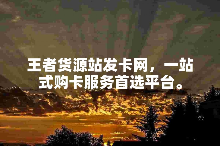 王者货源站发卡网，一站式购卡服务首选平台。