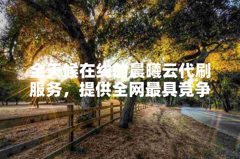 全天候在线的晨曦云代刷服务，提供全网最具竞争力的价格。
