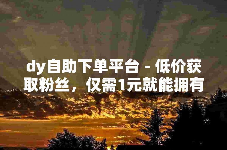 dy自助下单平台 - 低价获取粉丝，仅需1元就能拥有1000真实粉丝。