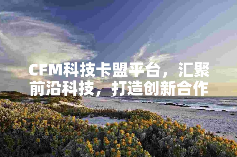 CFM科技卡盟平台，汇聚前沿科技，打造创新合作新生态。