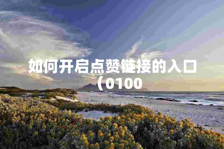 如何开启点赞链接的入口（01005e0a0002属于哪种地址类型）