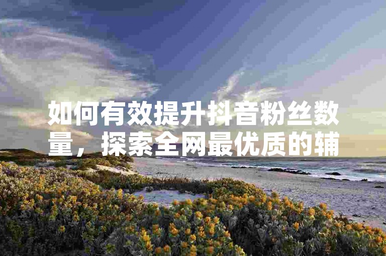 如何有效提升抖音粉丝数量，探索全网最优质的辅助资源及最低价提卡服务 - 揭秘免费获取QQ永久会员的卡盟网站 - 应对抖音粉丝增长停滞的策略。