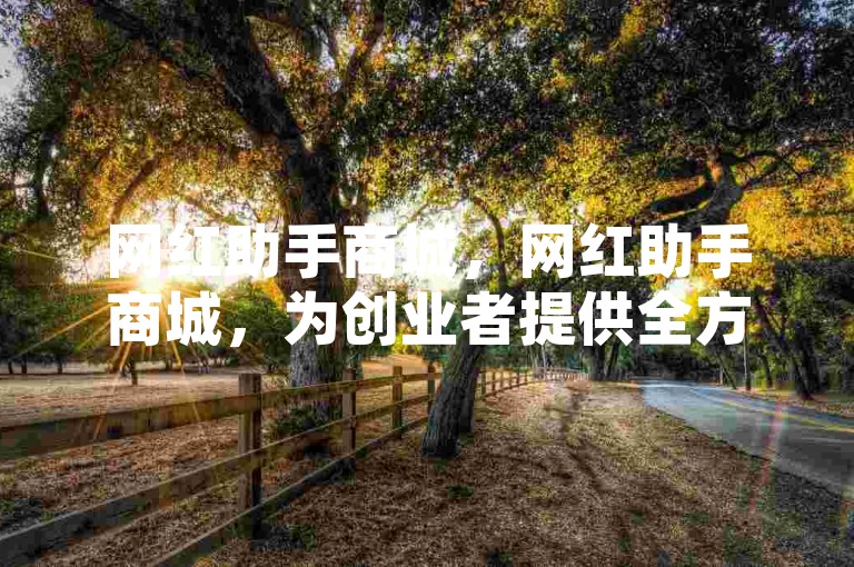 网红助手商城，网红助手商城，为创业者提供全方位的支持与服务。