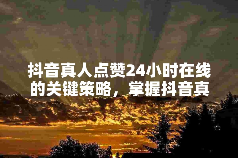 抖音真人点赞24小时在线的关键策略，掌握抖音真人点赞24小时在线技巧，让你轻松引领点赞热潮！新手必读！