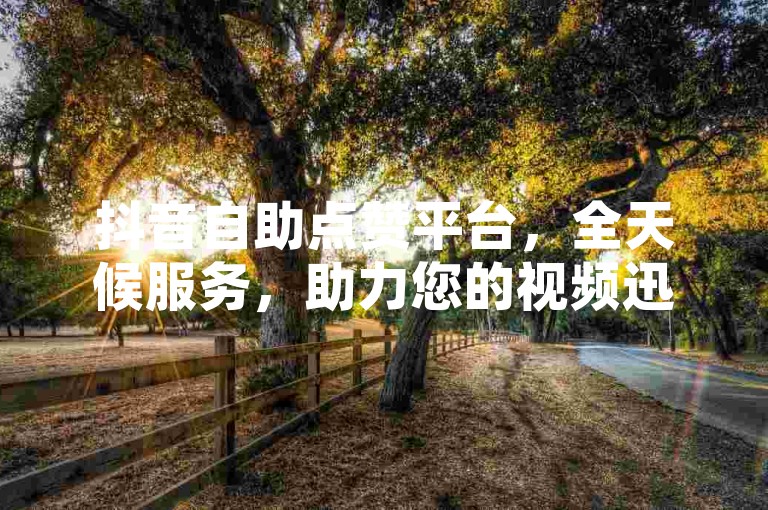 抖音自助点赞平台，全天候服务，助力您的视频迅速走红。