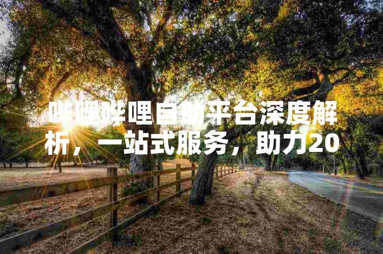 哔哩哔哩自助平台深度解析，一站式服务，助力2025业务飞跃！