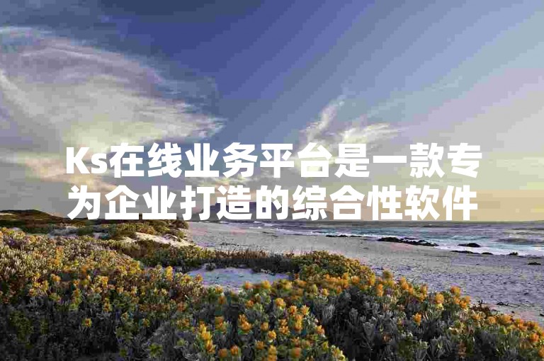 Ks在线业务平台是一款专为企业打造的综合性软件，旨在提升业务流程效率和管理水平。