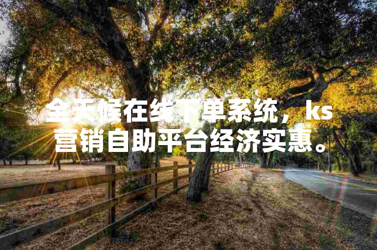 全天候在线下单系统，ks营销自助平台经济实惠。