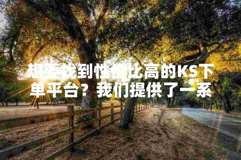 想要找到性价比高的KS下单平台？我们提供了一系列经济型选择，满足您的需求。