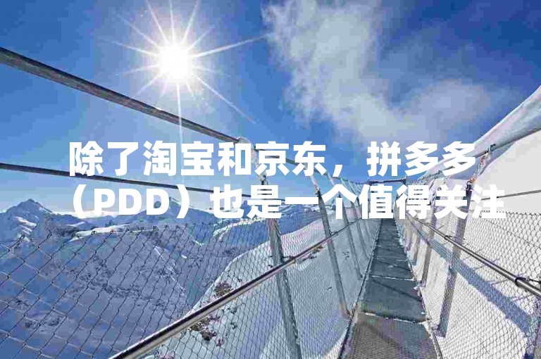除了淘宝和京东，拼多多（PDD）也是一个值得关注的购物平台选择。