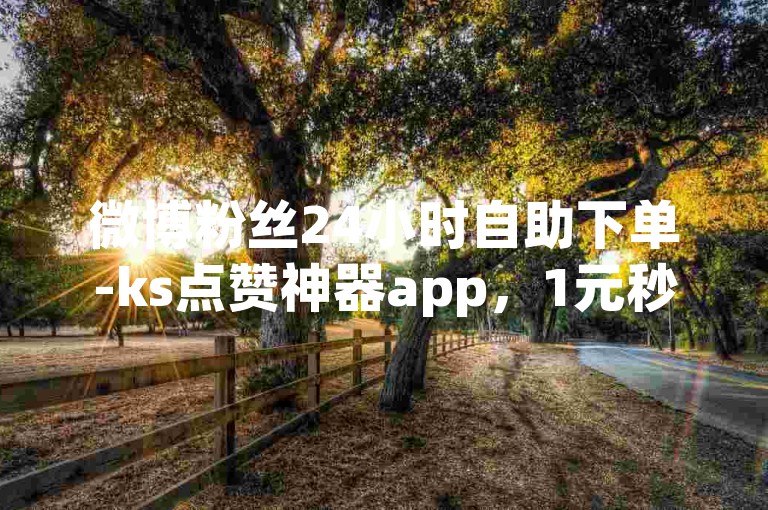 微博粉丝24小时自助下单-ks点赞神器app，1元秒刷1000赞。