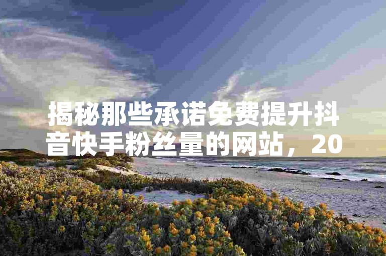 揭秘那些承诺免费提升抖音快手粉丝量的网站，2025年你必须了解的真相！