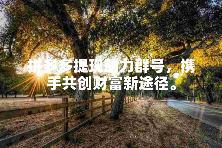 拼多多提现助力群号，携手共创财富新途径。
