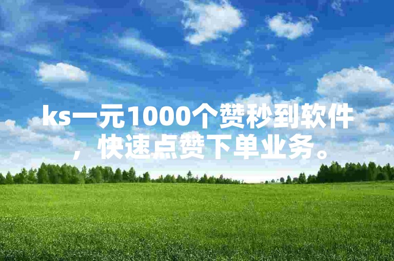 ks一元1000个赞秒到软件，快速点赞下单业务。