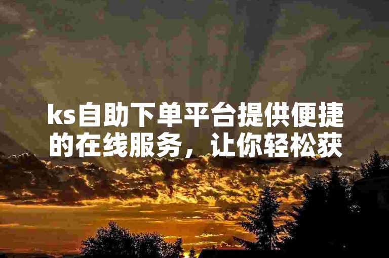 ks自助下单平台提供便捷的在线服务，让你轻松获取所需资源。