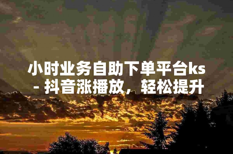 小时业务自助下单平台ks - 抖音涨播放，轻松提升视频曝光度。