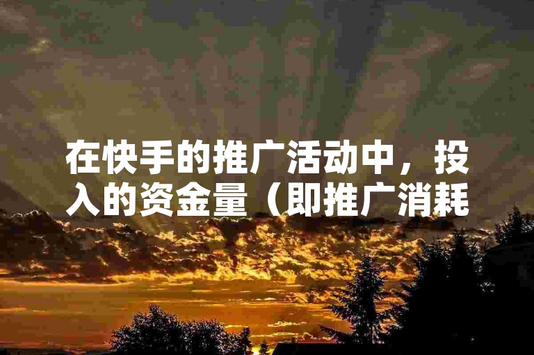 在快手的推广活动中，投入的资金量（即推广消耗金额）是衡量营销效果的重要指标之一。