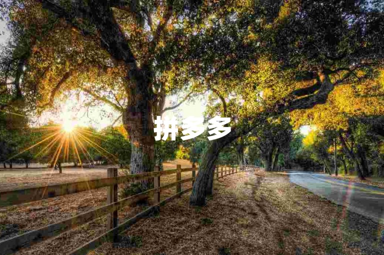 拼多多500人互助群免费 - 网红助手商城，是一个提供免费互助服务的社群平台。