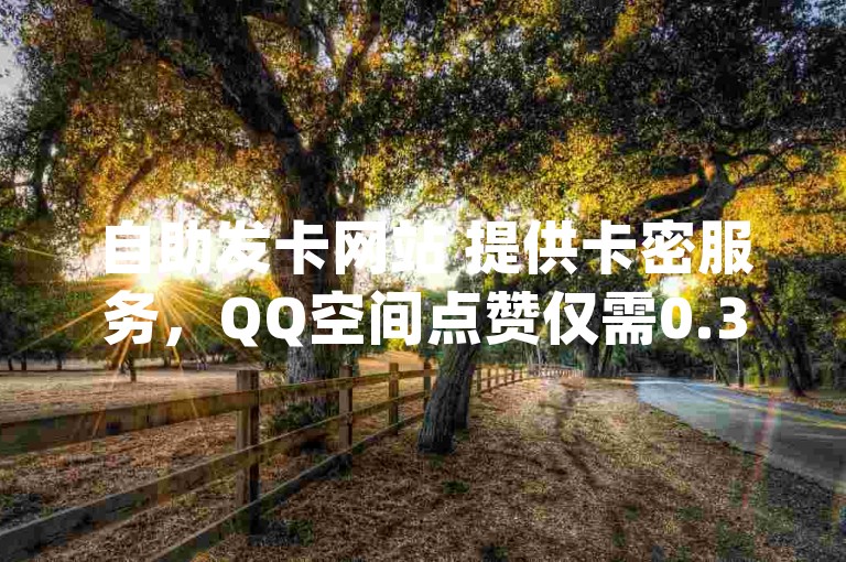 自助发卡网站 提供卡密服务，QQ空间点赞仅需0.3元一万赞 - 专业卡盟平台供应qq会员。