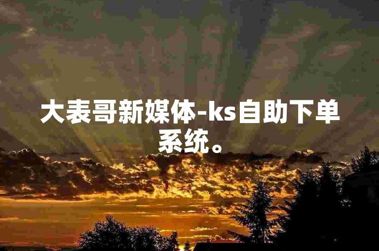 大表哥新媒体-ks自助下单系统。