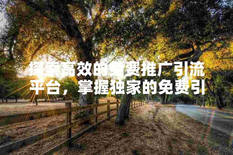 探索高效的免费推广引流平台，掌握独家的免费引流平台推广攻略。