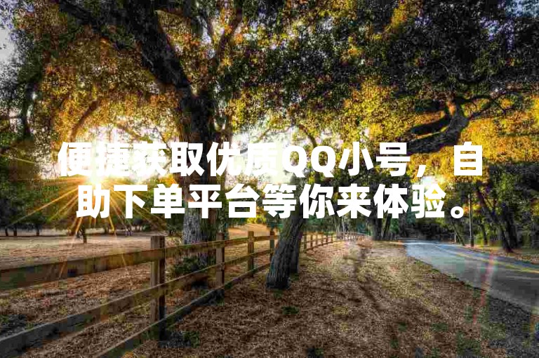 便捷获取优质QQ小号，自助下单平台等你来体验。