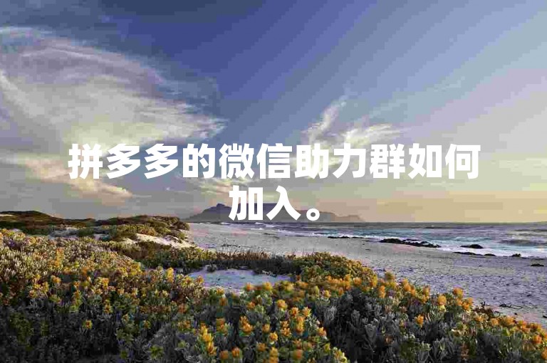 拼多多的微信助力群如何加入。