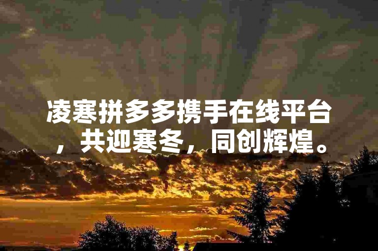 凌寒拼多多携手在线平台，共迎寒冬，同创辉煌。