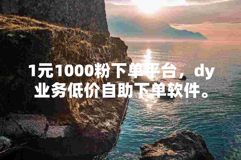 1元1000粉下单平台，dy业务低价自助下单软件。