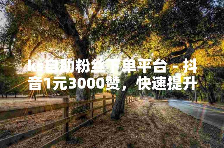 ks自助粉丝下单平台 - 抖音1元3000赞，快速提升你的影响力。
