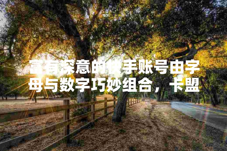 富有深意的快手账号由字母与数字巧妙组合，卡盟发卡网则提供多样功能，如1元可享100赞自助服务及QQ秒赞推广等。