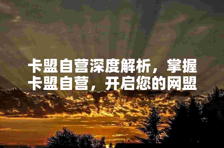 卡盟自营深度解析，掌握卡盟自营，开启您的网盟盈利新篇章！2024年必备技能。