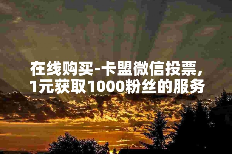 在线购买-卡盟微信投票,1元获取1000粉丝的服务平台