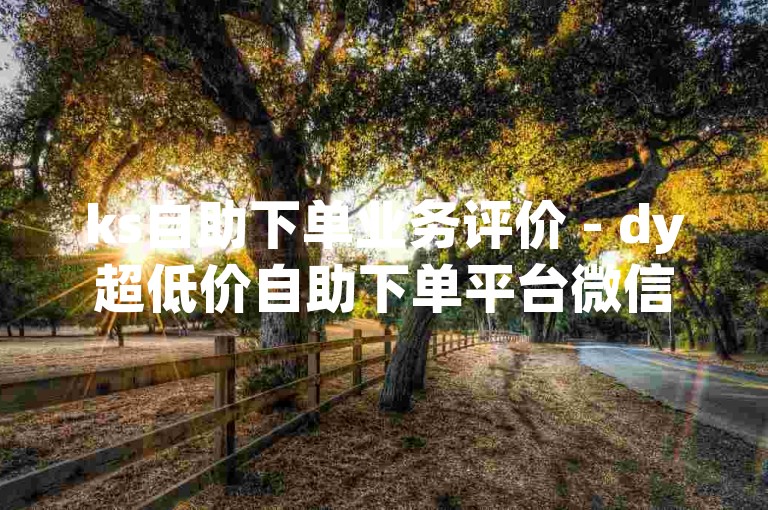 ks自助下单业务评价 - dy超低价自助下单平台微信可以，这个平台提供的服务价格实惠，操作简便，非常适合追求性价比的用户。
