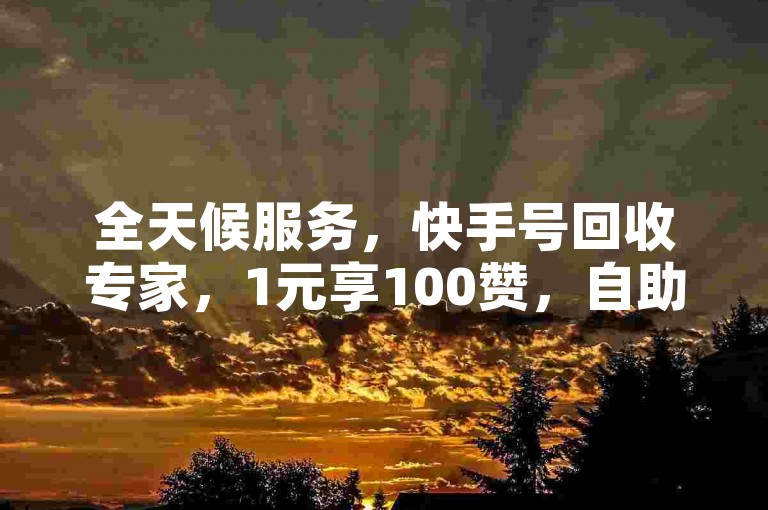 全天候服务，快手号回收专家，1元享100赞，自助下单平台。