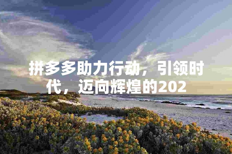 拼多多助力行动，引领时代，迈向辉煌的2025。