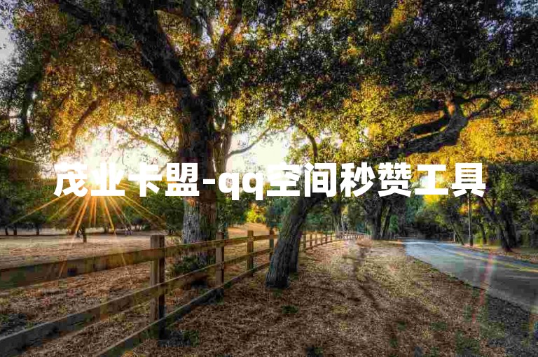 茂业卡盟-qq空间秒赞工具