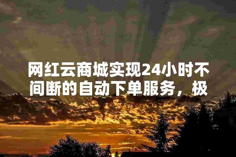 网红云商城实现24小时不间断的自动下单服务，极大地方便了顾客随时购物。