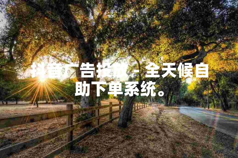 抖音广告投放 - 全天候自助下单系统。