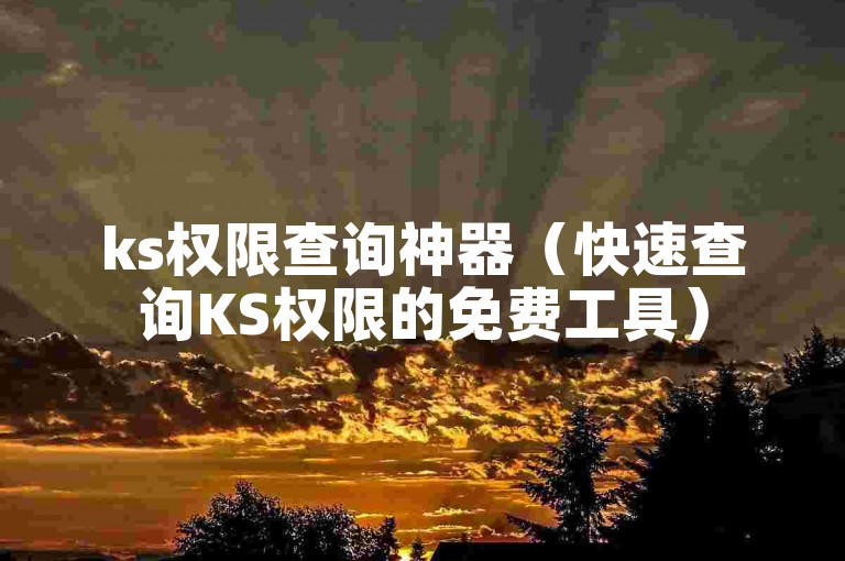 ks权限查询神器（快速查询KS权限的免费工具）