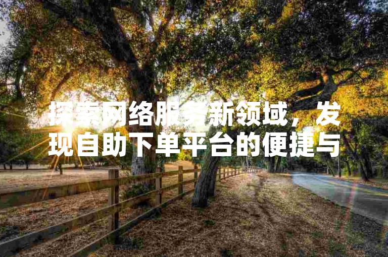 探索网络服务新领域，发现自助下单平台的便捷与魅力。
