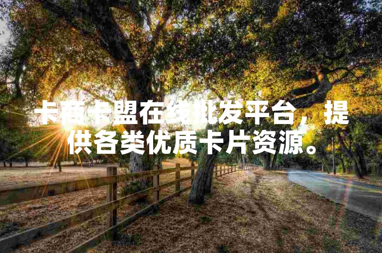 卡商卡盟在线批发平台，提供各类优质卡片资源。