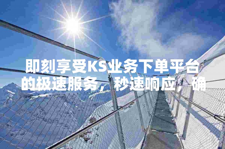 即刻享受KS业务下单平台的极速服务，秒速响应，确保流畅无阻的下单过程。